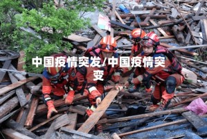 中国疫情突发/中国疫情突变