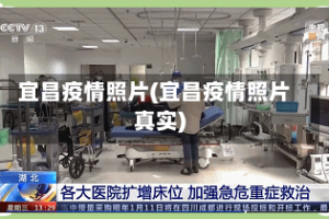 宜昌疫情照片(宜昌疫情照片真实)