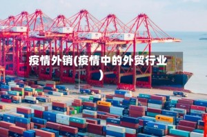 疫情外销(疫情中的外贸行业)