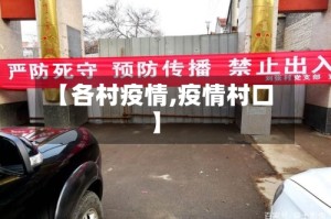 【各村疫情,疫情村口】