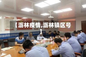 【沥林疫情,沥林镇区号】