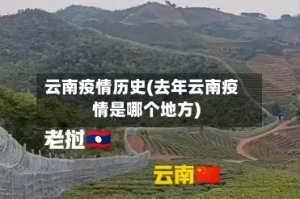 云南疫情历史(去年云南疫情是哪个地方)