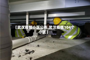 【武汉疫情小区公布,武汉疫情104个小区】