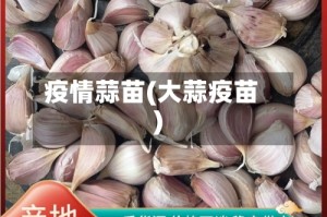 疫情蒜苗(大蒜疫苗)