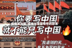 疫情家与国/疫情与家国情怀的联系
