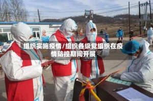 组织实施疫情/组织各级党组织在疫情防控期间开展
