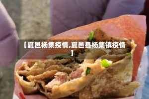 【夏邑杨集疫情,夏邑县杨集镇疫情】