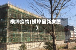 横埠疫情(横埠最新发展)