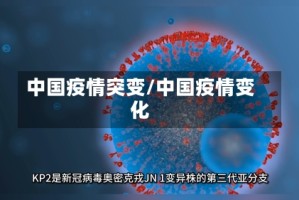 中国疫情突变/中国疫情变化