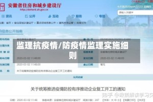 监理抗疫情/防疫情监理实施细则