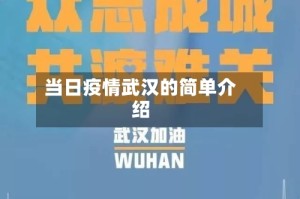 当日疫情武汉的简单介绍