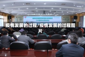 疫情发展的过程/疫情发展的过程图片