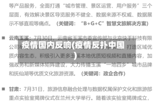 疫情国内反响(疫情反扑中国)