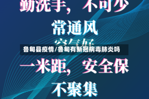 鲁甸县疫情/鲁甸有新冠病毒肺炎吗