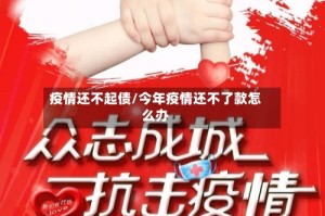 疫情还不起债/今年疫情还不了款怎么办