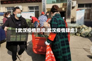 【武汉疫情悲观,武汉疫情肆虐】