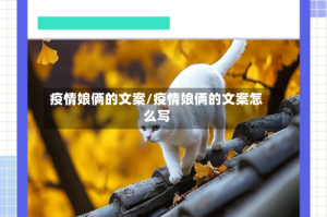 疫情娘俩的文案/疫情娘俩的文案怎么写