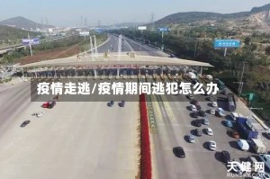 疫情走逃/疫情期间逃犯怎么办