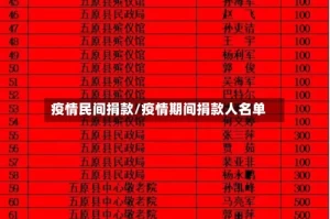 疫情民间捐款/疫情期间捐款人名单