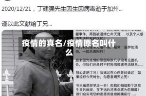 疫情的真名/疫情原名叫什么