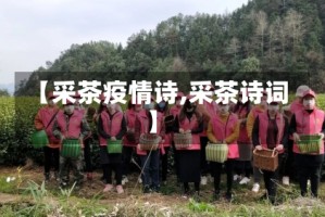 【采茶疫情诗,采茶诗词】