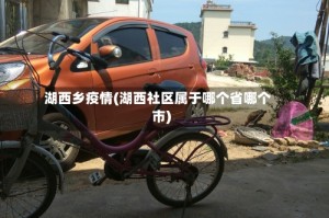 湖西乡疫情(湖西社区属于哪个省哪个市)