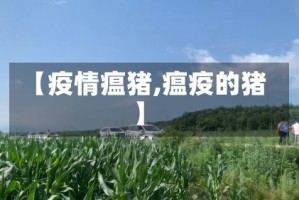 【疫情瘟猪,瘟疫的猪】