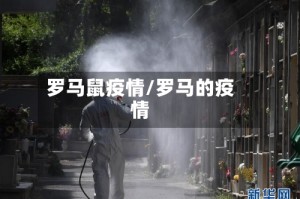 罗马鼠疫情/罗马的疫情