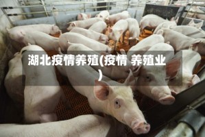 湖北疫情养殖(疫情 养殖业)