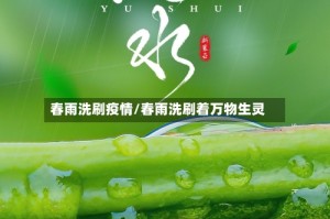 春雨洗刷疫情/春雨洗刷着万物生灵