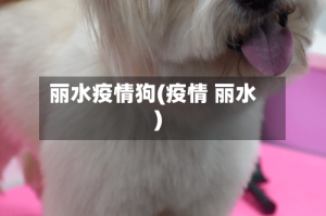 丽水疫情狗(疫情 丽水)