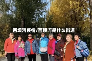 西坝河疫情/西坝河是什么街道