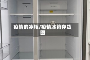 疫情的冰柜/疫情冰箱存货图