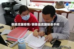 茶陵虎踞疫情/茶陵县虎踞镇茶干村