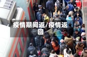 疫情期间返/疫情返回