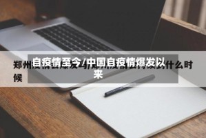 自疫情至今/中国自疫情爆发以来