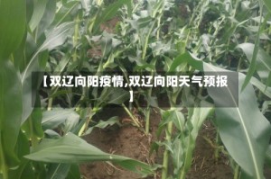 【双辽向阳疫情,双辽向阳天气预报】