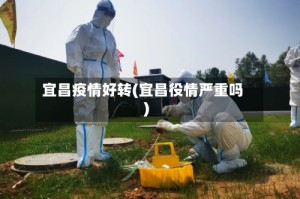 宜昌疫情好转(宜昌役情严重吗)