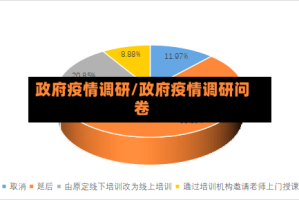 政府疫情调研/政府疫情调研问卷