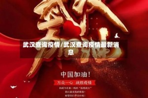 武汉查询疫情/武汉查询疫情最新消息