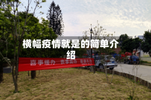 横幅疫情就是的简单介绍