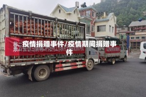 疫情捐赠事件/疫情期间捐赠事件
