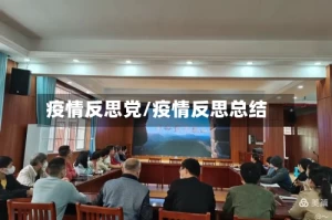 疫情反思党/疫情反思总结