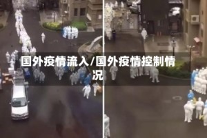 国外疫情流入/国外疫情控制情况