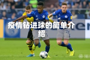 疫情钻进球的简单介绍