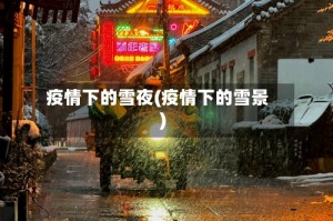 疫情下的雪夜(疫情下的雪景)