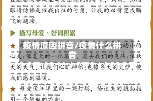 疫情原因拼音/疫情什么拼音