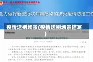 疫情送别场景(疫情送别场景描写)