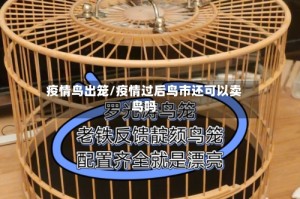 疫情鸟出笼/疫情过后鸟市还可以卖鸟吗