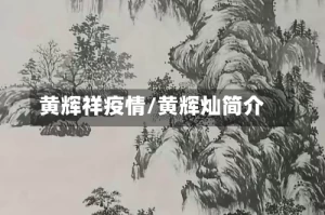 黄辉祥疫情/黄辉灿简介